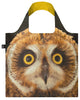 NATIONAL GEOGRAPHIC PHOTO ARK /Short-Eared Owl /by PHOTO ARK ™ and © Joel Sartore, © 2020 National Geographic Partners, LLC/NG.SO NATIONAL GEOGRAPHIC PHOTO ARK /Short-Eared Owl /by PHOTO ARK ™ and © Joel Sartore, © 2020 National Geographic Partners, LLC/NG.SO