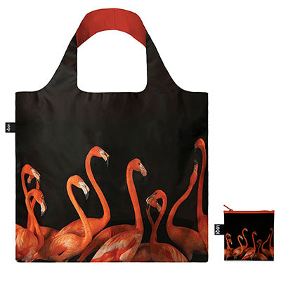 NATIONAL GEOGRAPHIC PHOTO ARK /Flamingos /by PHOTO ARK ™ and © Joel Sartore, © 2020 National Geographic Partners, LLC/NG.FL