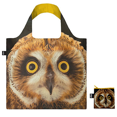 NATIONAL GEOGRAPHIC PHOTO ARK /Short-Eared Owl /by PHOTO ARK ™ and © Joel Sartore, © 2020 National Geographic Partners, LLC/NG.SO