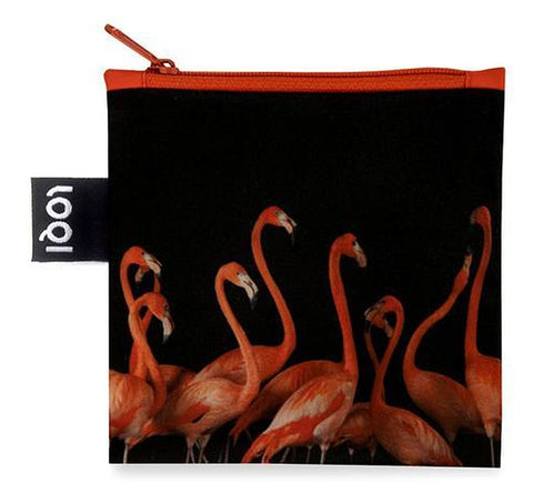 NATIONAL GEOGRAPHIC PHOTO ARK <br>Flamingos <br>by PHOTO ARK ™ and © Joel Sartore, © 2020 National Geographic Partners, LLC<br>NG.FL