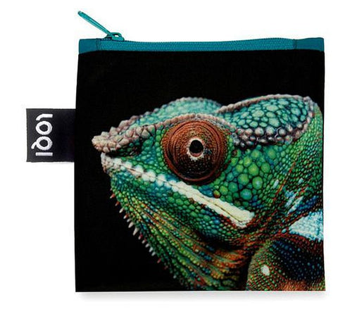 NATIONAL GEOGRAPHIC PHOTO ARK <br>Panther Chameleon <br>by PHOTO ARK ™ and © Joel Sartore, © 2020 National Geographic Partners, LLC<br>NG.PC