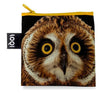 NATIONAL GEOGRAPHIC PHOTO ARK <br>Short-Eared Owl <br>by PHOTO ARK ™ and © Joel Sartore, © 2020 National Geographic Partners, LLC<br>NG.SO