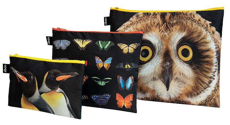 NATIONAL GEOGRAPHIC/Zip Pockets/Owl,Butterflies,Penguins/PHOTO ARK ™ and © Joel Sartore, © 2020 National Geographic Partners, LLC./ZP.NG.OP