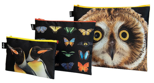 NATIONAL GEOGRAPHIC/Zip Pockets/Owl,Butterflies,Penguins/PHOTO ARK ™ and © Joel Sartore, © 2020 National Geographic Partners, LLC./ZP.NG.OP