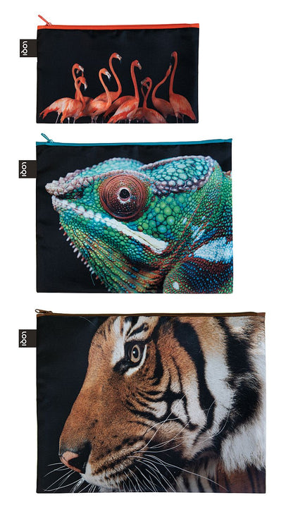 NATIONAL GEOGRAPHIC/Zip Pockets/Tiger,Chameleon,Flamingo/PHOTO ARK ™ and © Joel Sartore, © 2020 National Geographic Partners, LLC./ZP.NG.TF