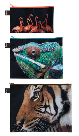 NATIONAL GEOGRAPHIC<br>Zip Pockets<br>Tiger,Chameleon,Flamingo<br>PHOTO ARK ™ and © Joel Sartore, © 2020 National Geographic Partners, LLC.<br>ZP.NG.TF