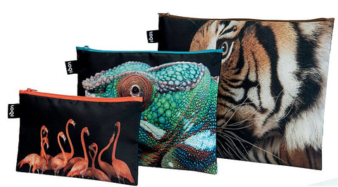 NATIONAL GEOGRAPHIC<br>Zip Pockets<br>Tiger,Chameleon,Flamingo<br>PHOTO ARK ™ and © Joel Sartore, © 2020 National Geographic Partners, LLC.<br>ZP.NG.TF